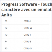 Touches de fonction L4G Progress Anita